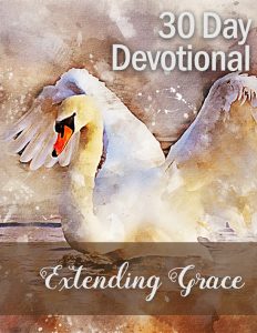 extending grace plr devotional set flat cover