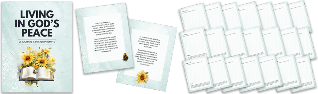 journal